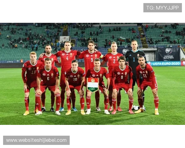 欧洲区世界杯预选赛积分榜最新排名及赛程动态分析 欧洲区世界杯预选赛积分榜最新排名及赛程动态分析